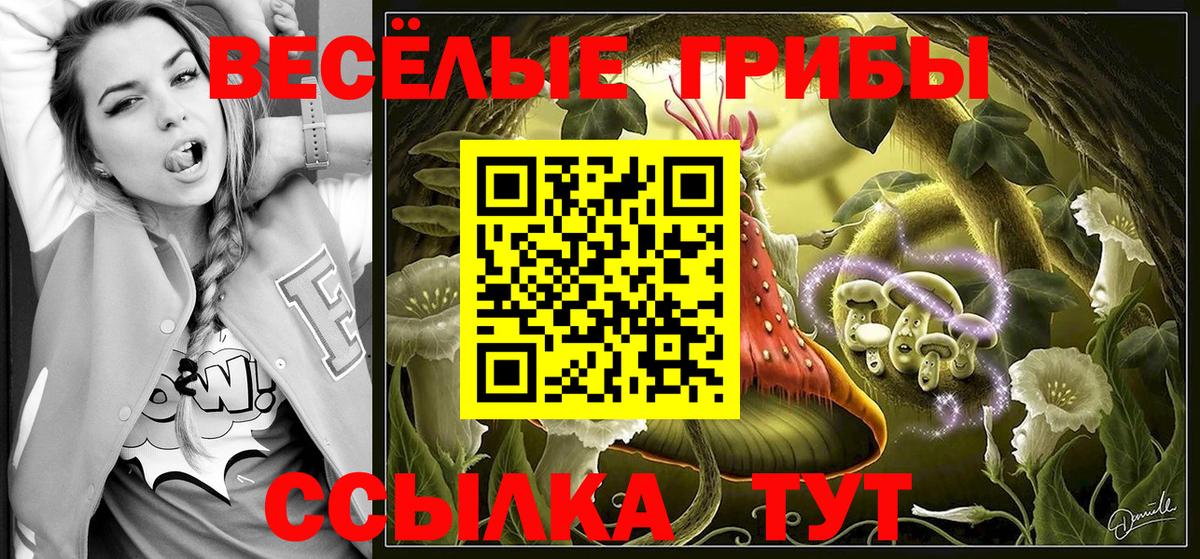Бузулук  Галлюциногенные грибы Cubensis  Вход с VPN 