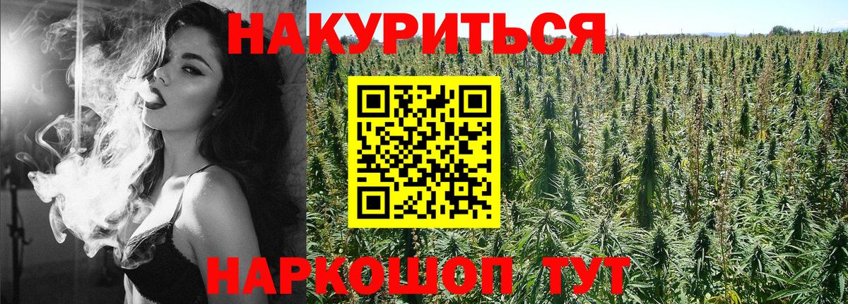 Конопля гибрид Бузулук